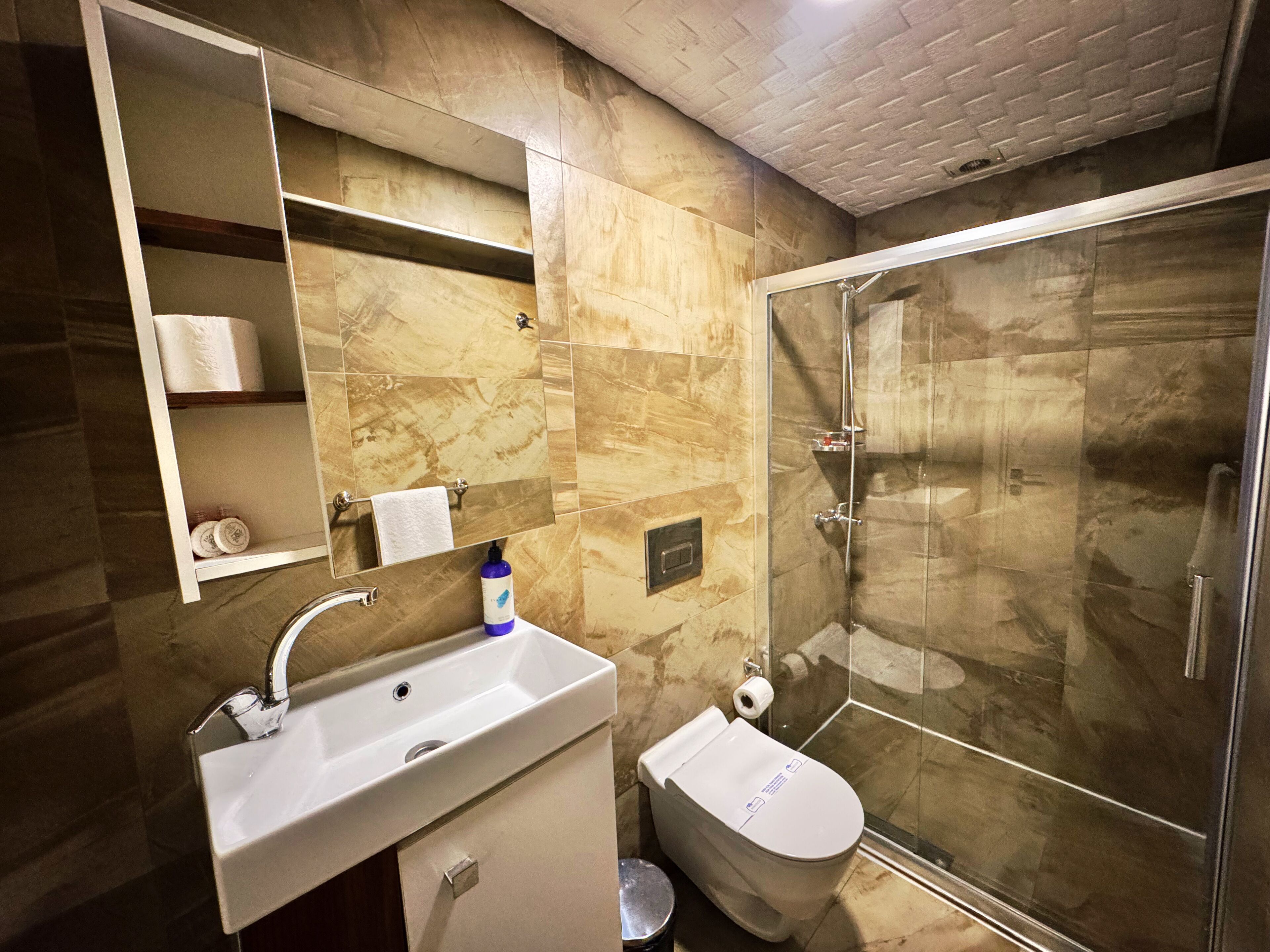 Un baño con lavabo, inodoro y ducha de vidrio.