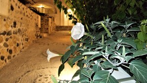 A stone pathway leading to a building entrance, surrounded by lush greenery and a white flower. - Loukas Kontos Traditional House (Santorini)