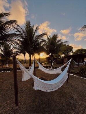 Jardí