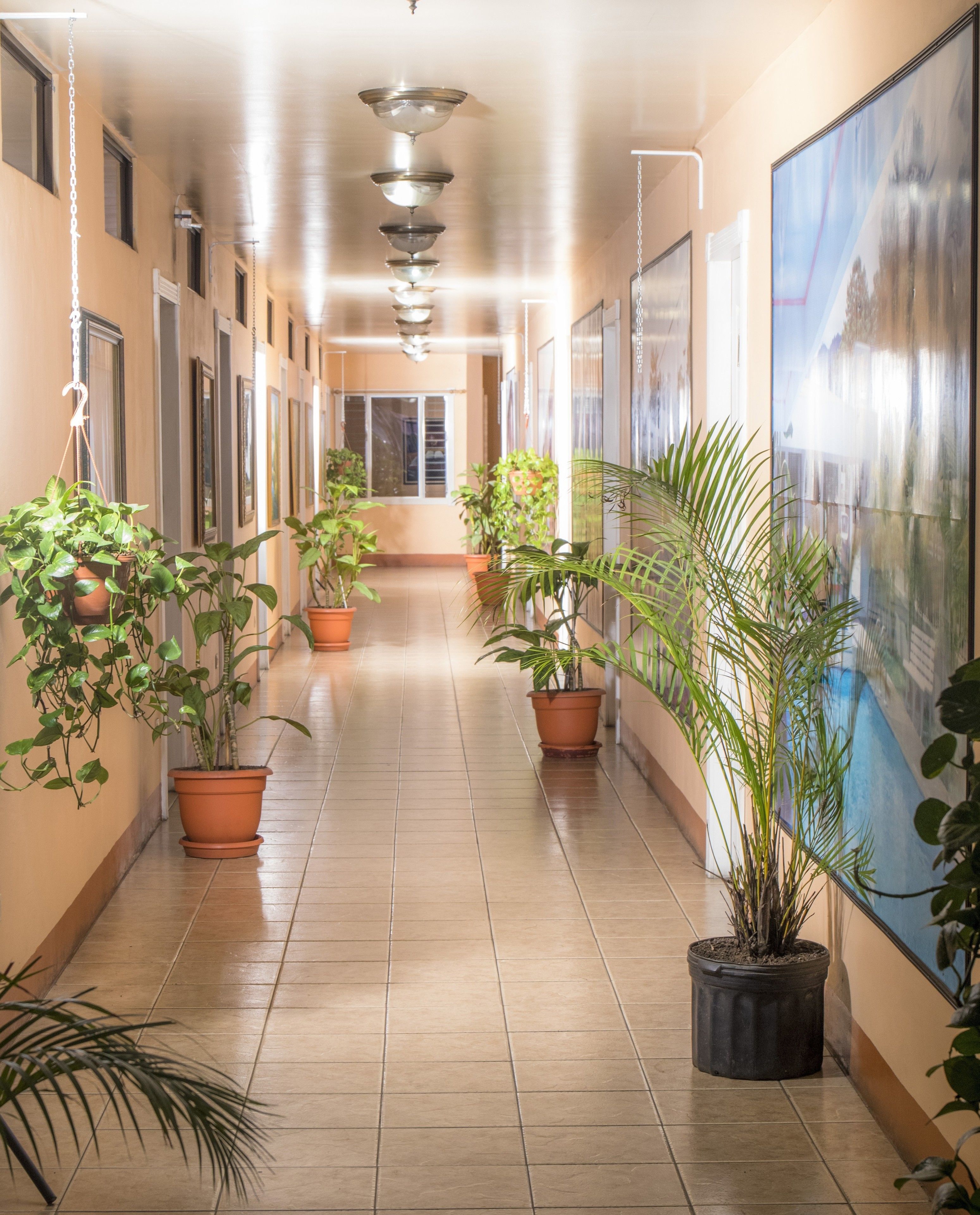 内部エントランス