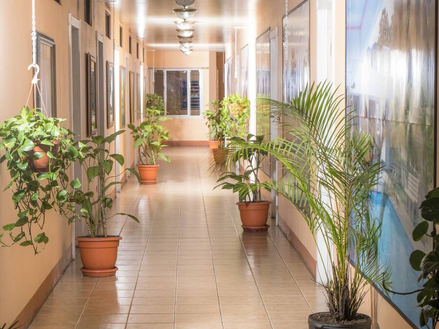 Entrada (vista interna)