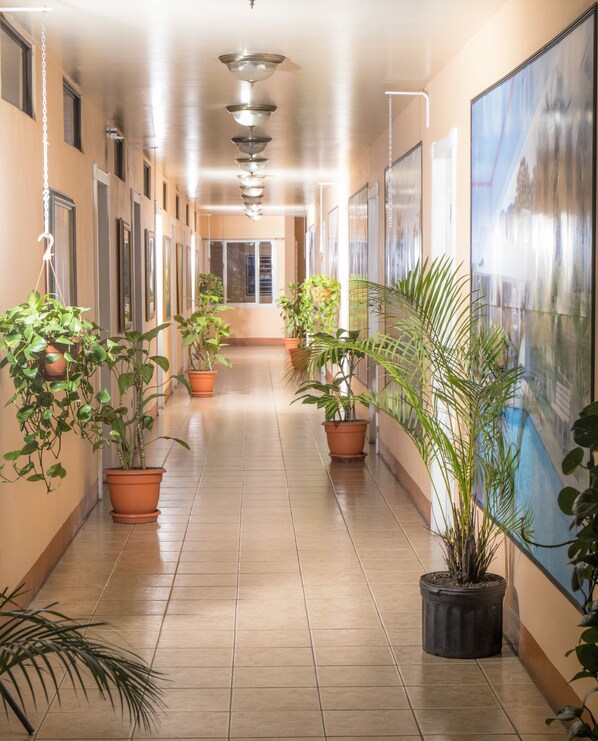 Interior entrance - Hotel Arrecifes (San José)