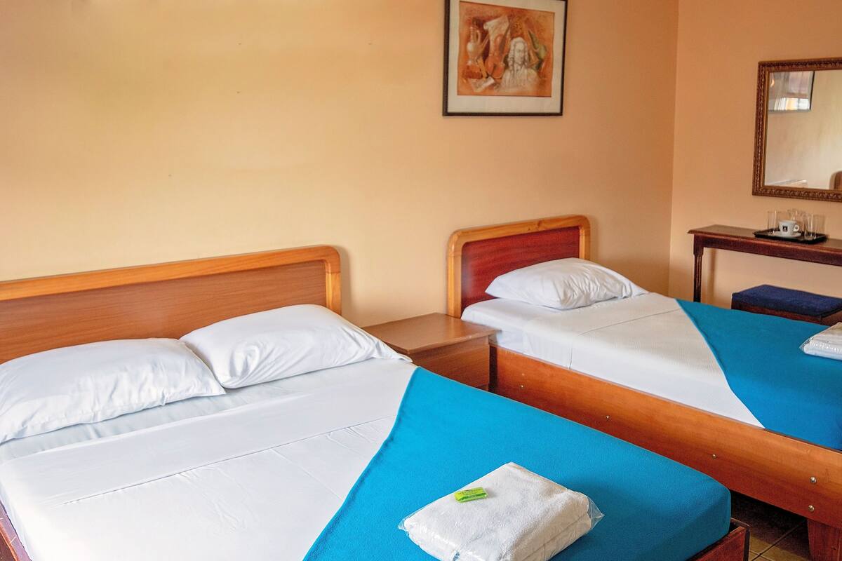 Two single beds with wooden headboards, a small bedside table with a lamp, a framed picture on the wall, and a mirror above the table.