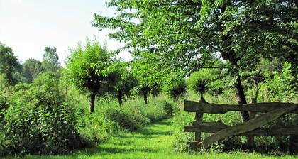 Vierashuone Engelshofissa, 61224 - Vierashuone Engelshofissa