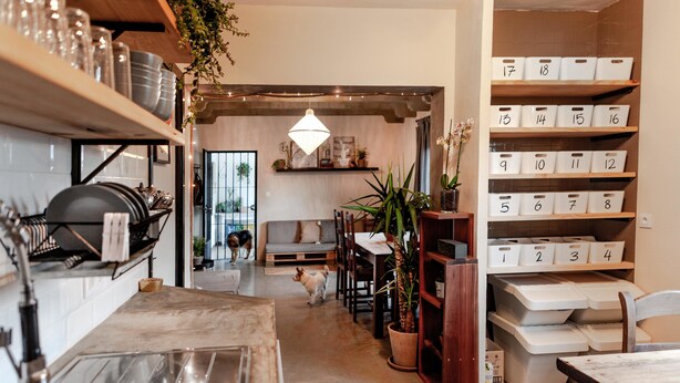 A kitchen with a sink, shelves with dishes, a hanging light, and a dog walking through. - Wild House Tarifa - Hostel (Tarifa)