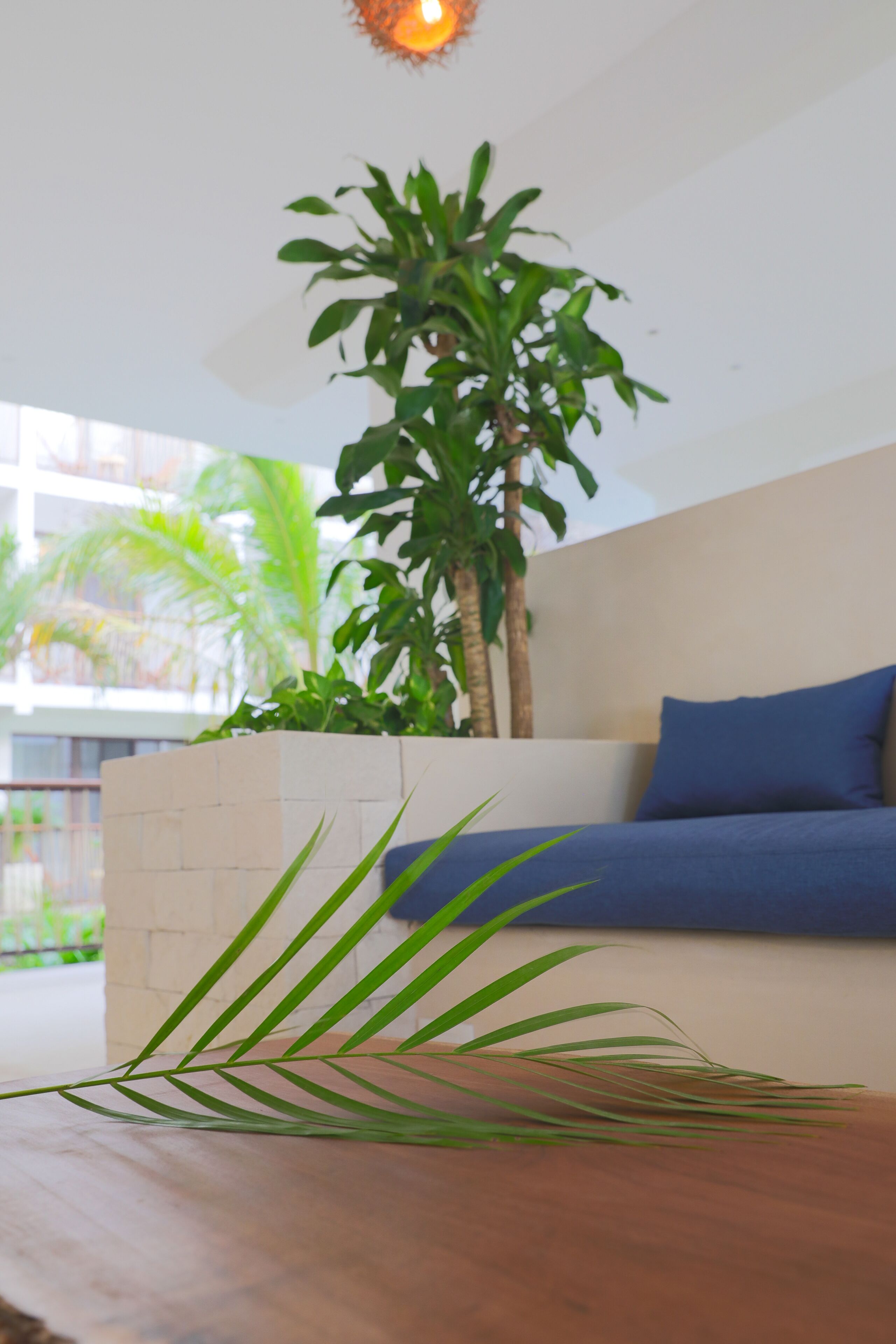 Foto - Hotel Blanco Tulum Adults Only