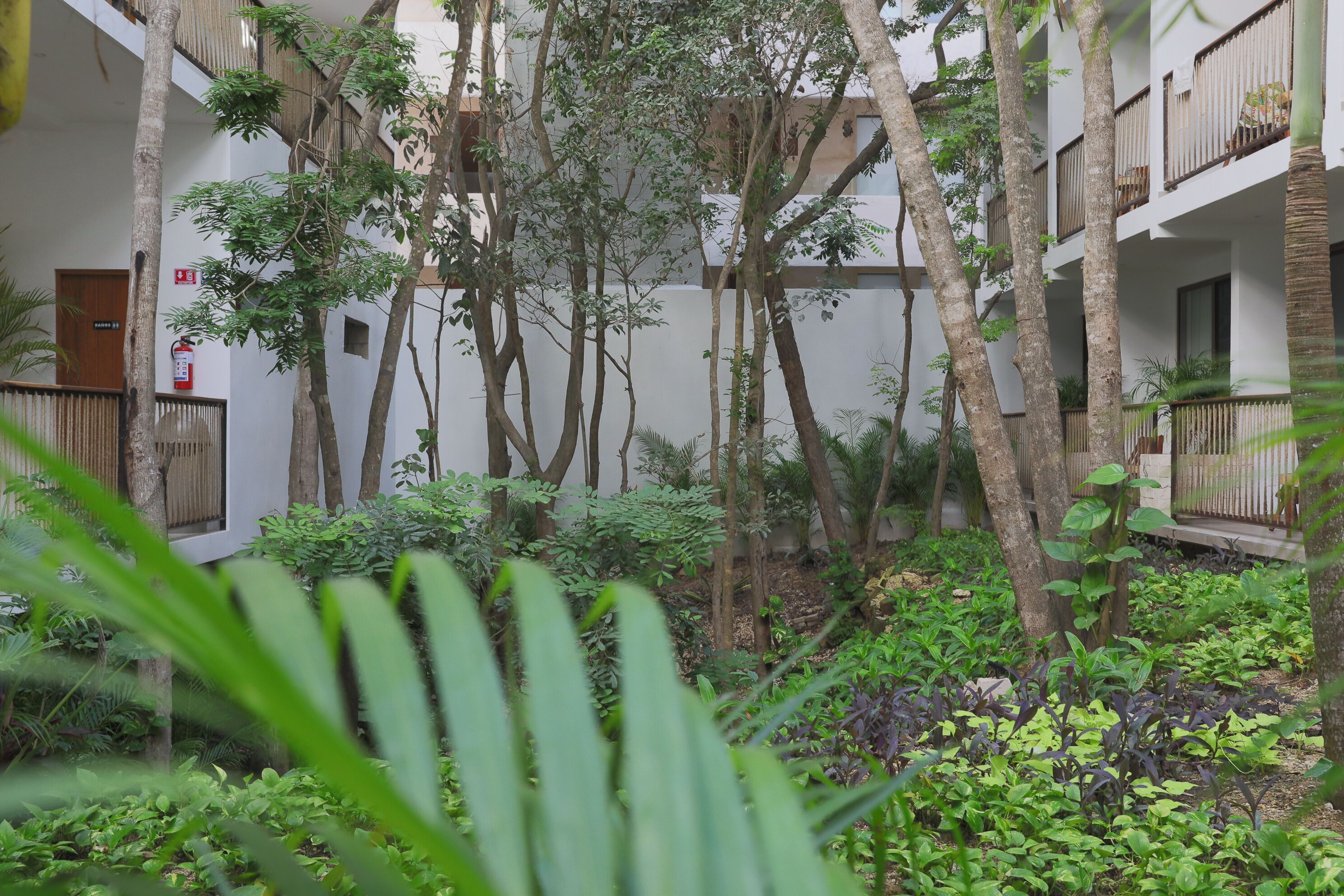 Foto - Hotel Blanco Tulum Adults Only