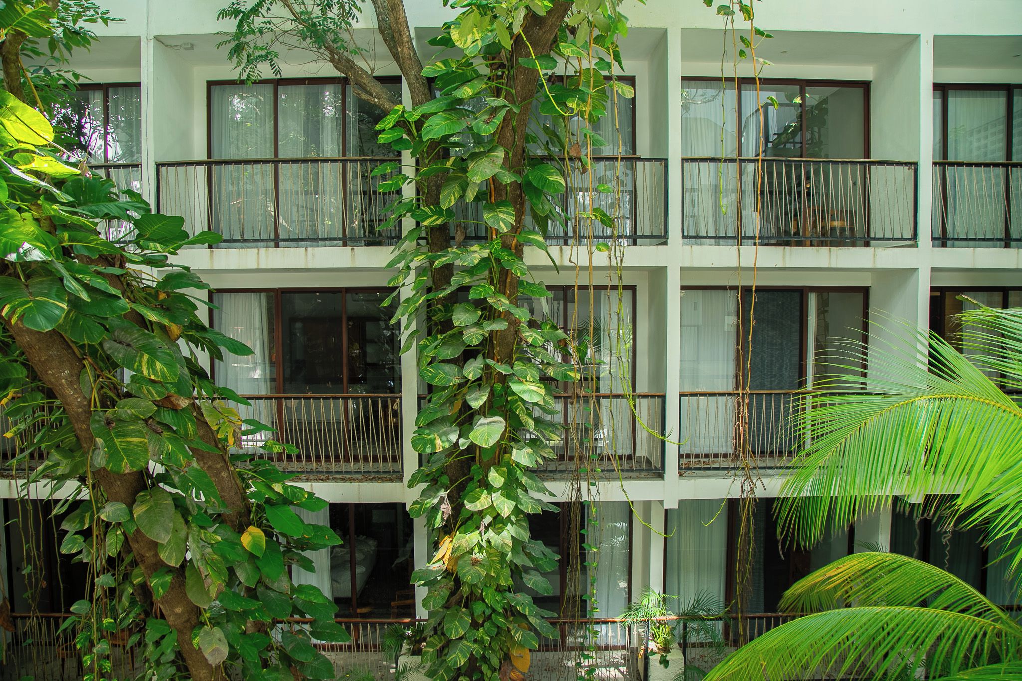 Foto - Hotel Blanco Tulum - Adults Only