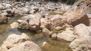 Hiking