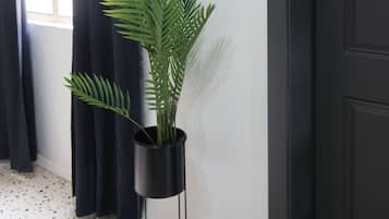 TV màn hình phẳng