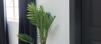 The Burrow City Rooms - Homestay