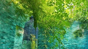 A room with a green brick wall, a hanging blue vase, and a view of trees through the window. - Eden Lodges & Spa -Boutique Hôtel de Luxe (Marrakech)