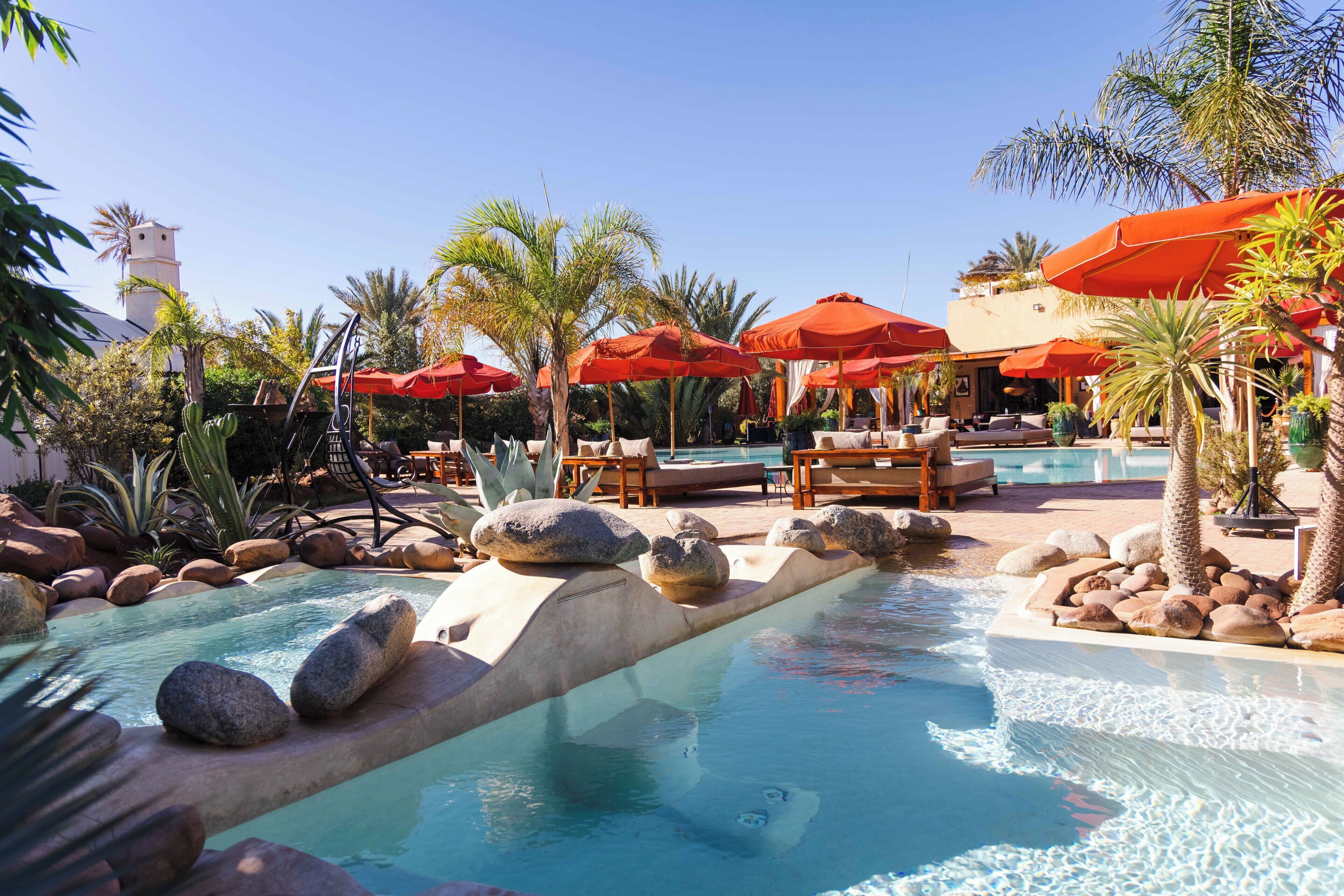 A pool area with lounge chairs, umbrellas, and a palm tree.