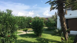 Un jardín bien cuidado con diversas plantas y una palmera, un camino empedrado y un edificio blanco con puerta marrón.