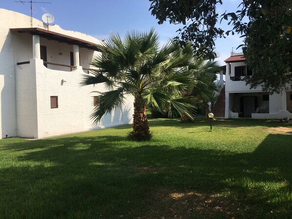 A white building with a satellite dish, a palm tree, and a well-maintained lawn.