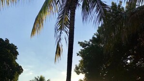 A resort with a swimming pool, palm trees, and a building with a red roof. - Pousada Beco da Lua (Olímpia)