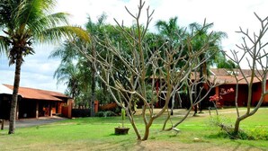 A courtyard with a palm tree, a building with a red roof, and a tree with red flowers. - Pousada Beco da Lua (Olímpia)