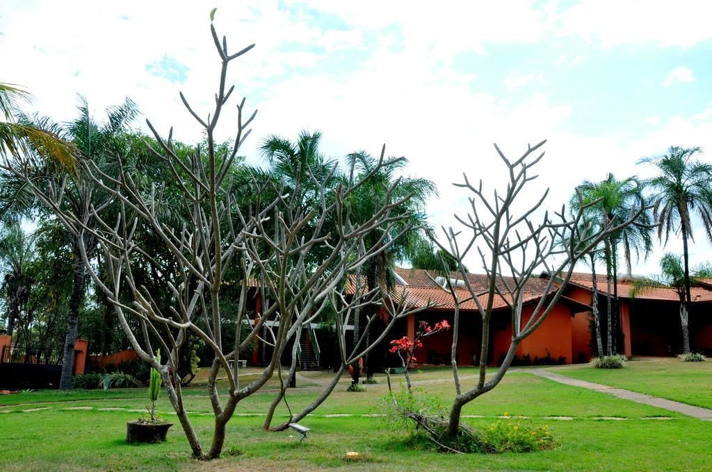 Un patio con un edificio de techo rojo y un jardín con varios árboles y plantas.