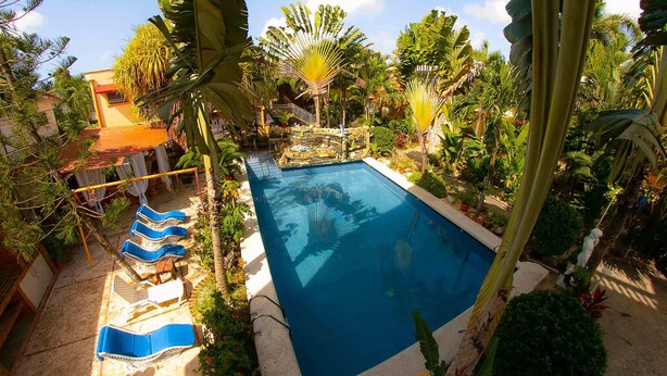 Ein Swimmingpool, umgeben von üppigem Grün, mit einigen Liegestühlen und einem kleinen Wasserfall.