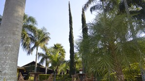 Um jardim tropical com palmeiras, uma pérgola de madeira e uma área de estar com cadeiras e mesas.