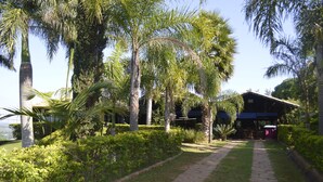 Uma trilha que leva a um edifício rodeado por vegetação exuberante e palmeiras.