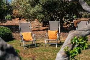Property grounds - Complex of trulli with private pool overlooking the sea (Monopoli)