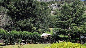 Ein üppiger Garten mit Schaukel und kleiner Laube.