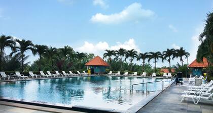 The Best Of View Talay 6