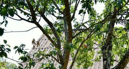 Grange typique tourangelle du 17-ieme siÚcle 120 mÚtres carrés habitables