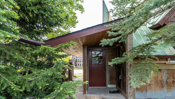 Une cabane en bois avec une porte marron, entourée d’une forêt dense de conifères.