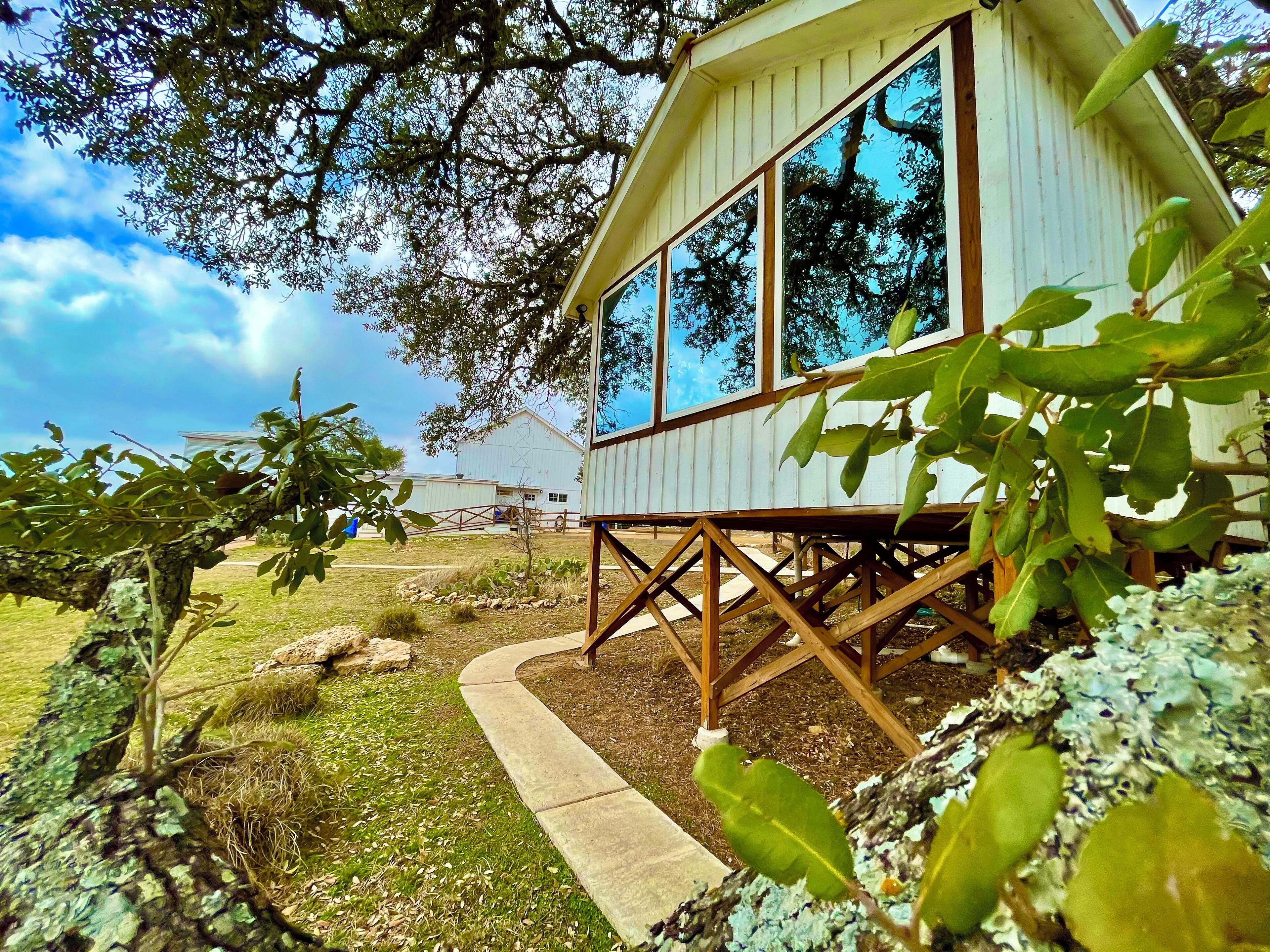 A wooden cabin with large windows, surrounded by trees and a grassy area.
