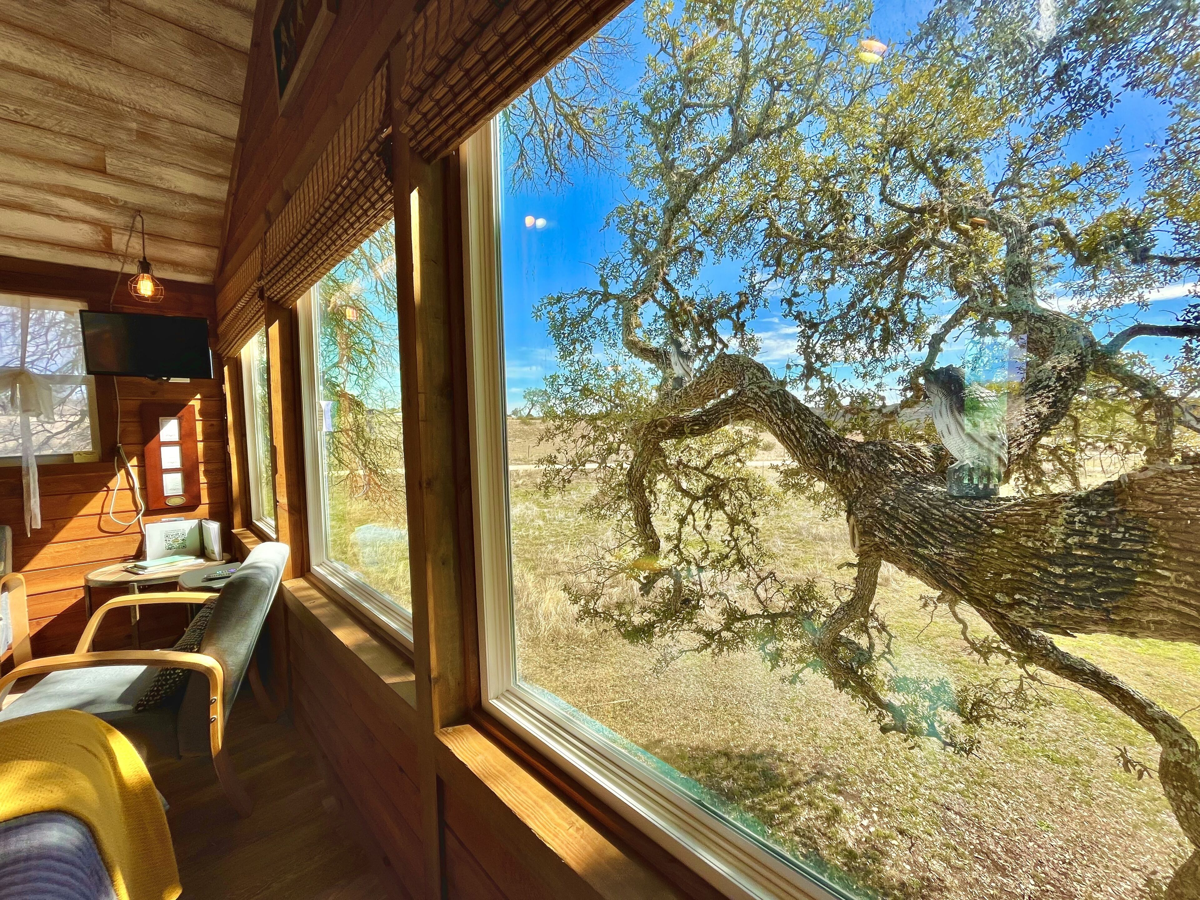 The Mack | View from room