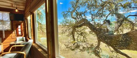 A wooden interior with a large window overlooking a tree and a clear sky.