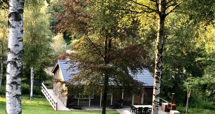 Skandinavisches Chalet in üppigem Grün und Wald ...