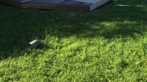 Una casa moderna d'un pis amb un porxo cobert, un jardí petit i una bústia vermella.