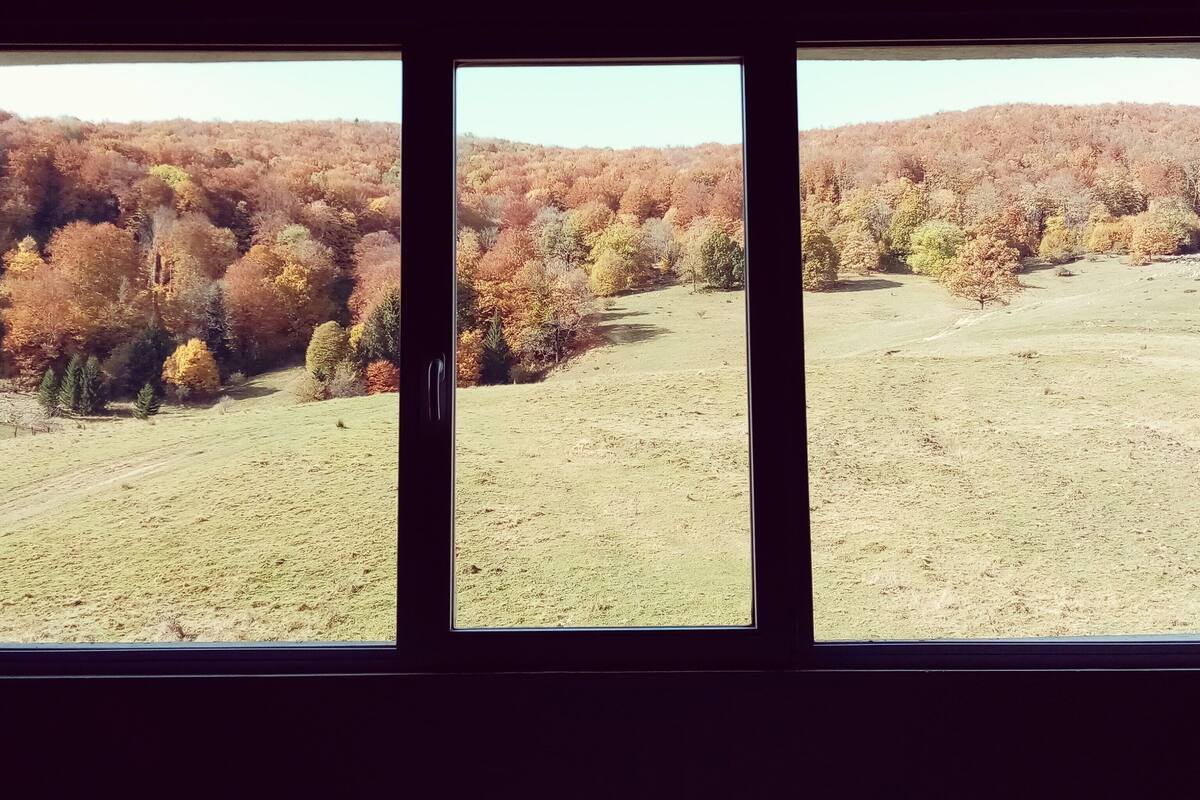 A room with three windows offering views of a grassy field and autumn-colored trees.