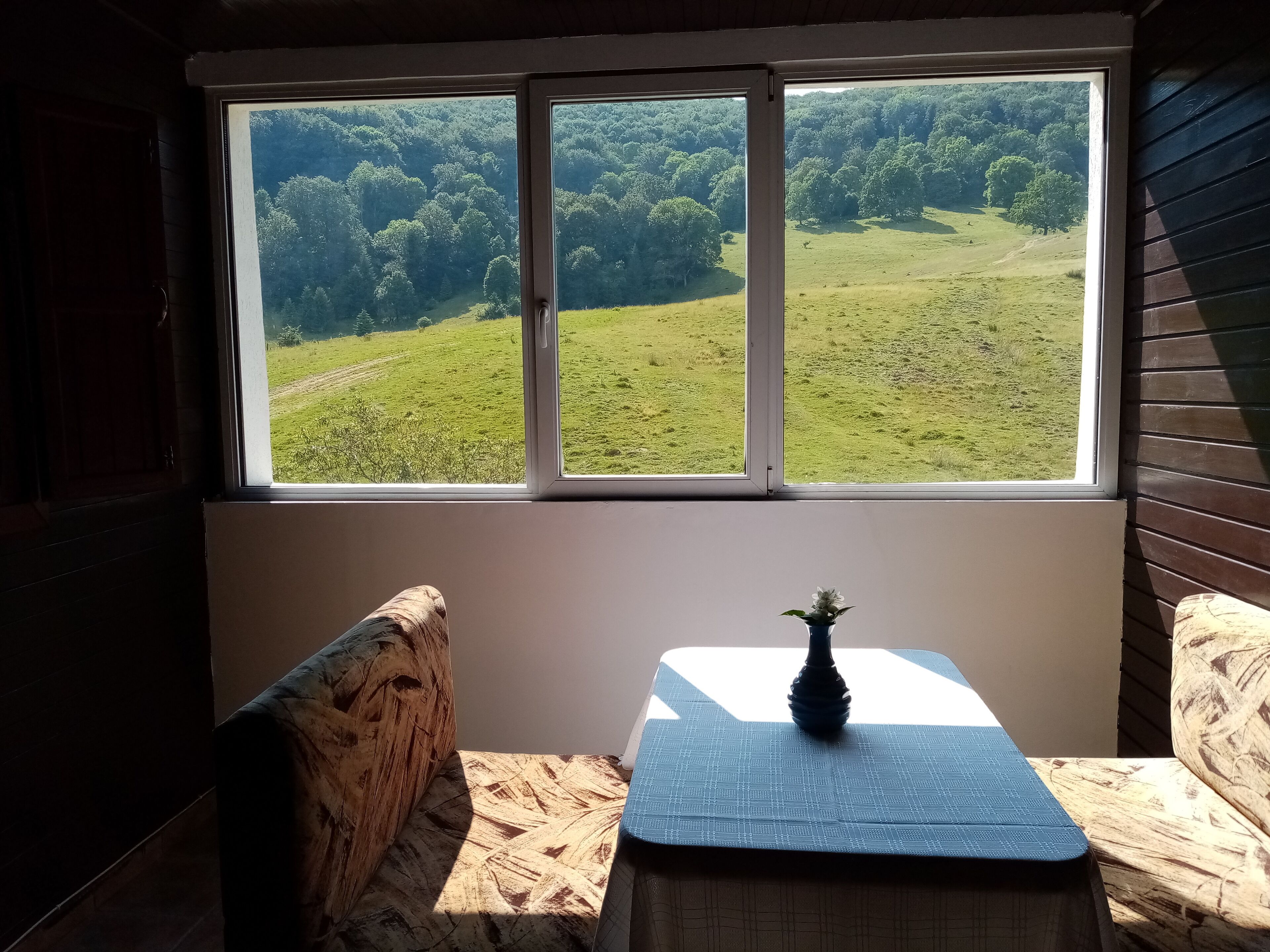 A room with a large window offering a view of a green field and trees. There is a wooden bench and a small table with a vase on it.