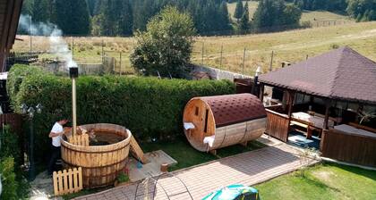 Pensiunea Poiana Cristian