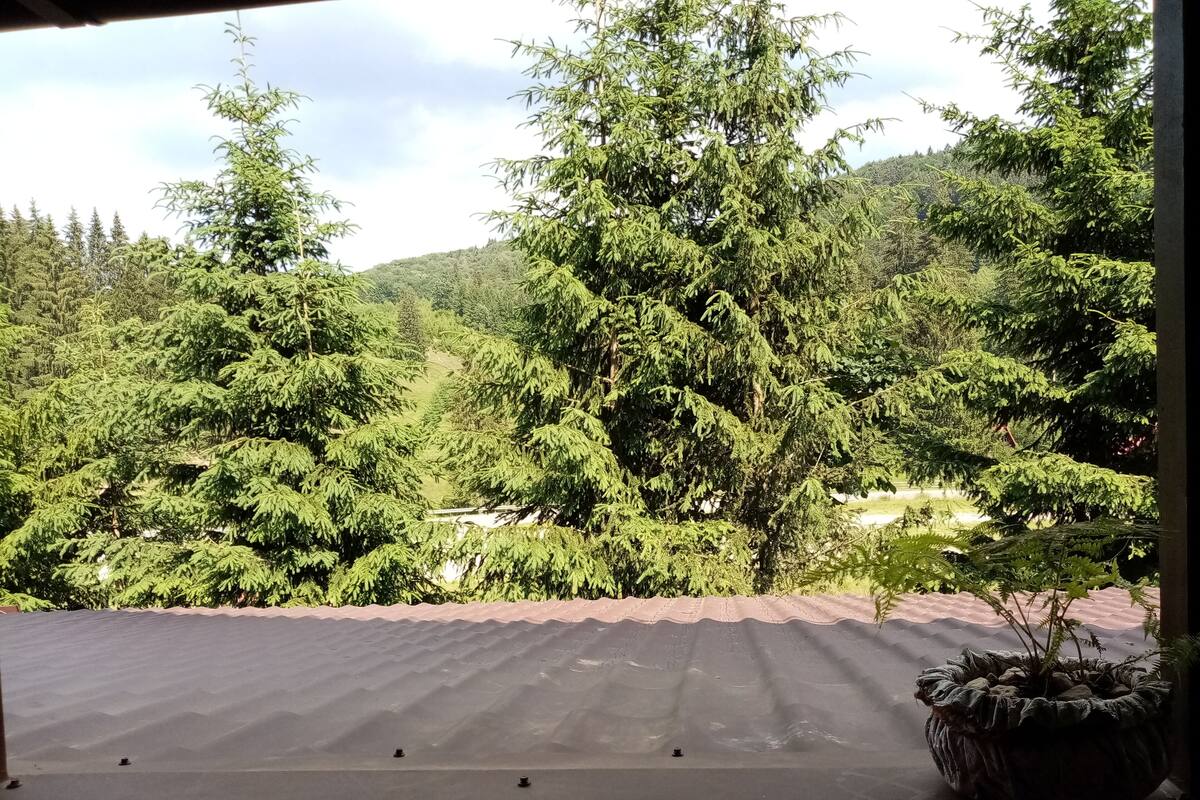 A view from a window overlooking a lush green landscape with dense trees and a distant hill.