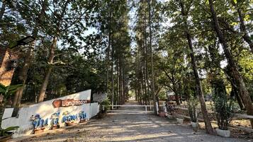 A pathway lined with trees leading to a building with a sign that reads "Longmuan."