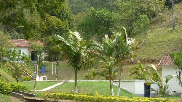 A residential area with a white building, a small white structure, and a palm tree.