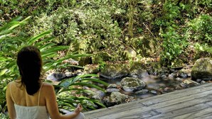 Una persona meditando en una terraza de madera con vista a un estanque natural rodeado de rocas y vegetación.