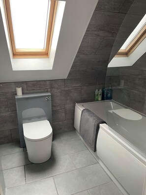 Combined shower/tub, hair dryer, towels, soap