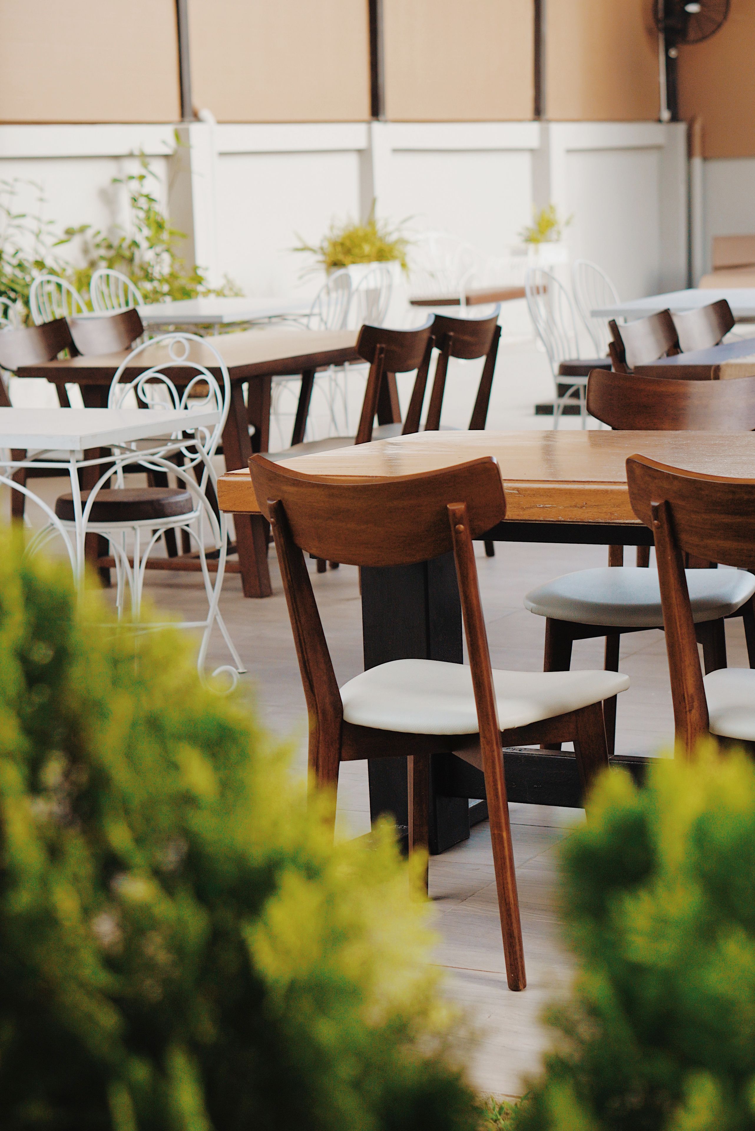 Foto - Peppery Hills Hotel