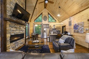 TV, fireplace