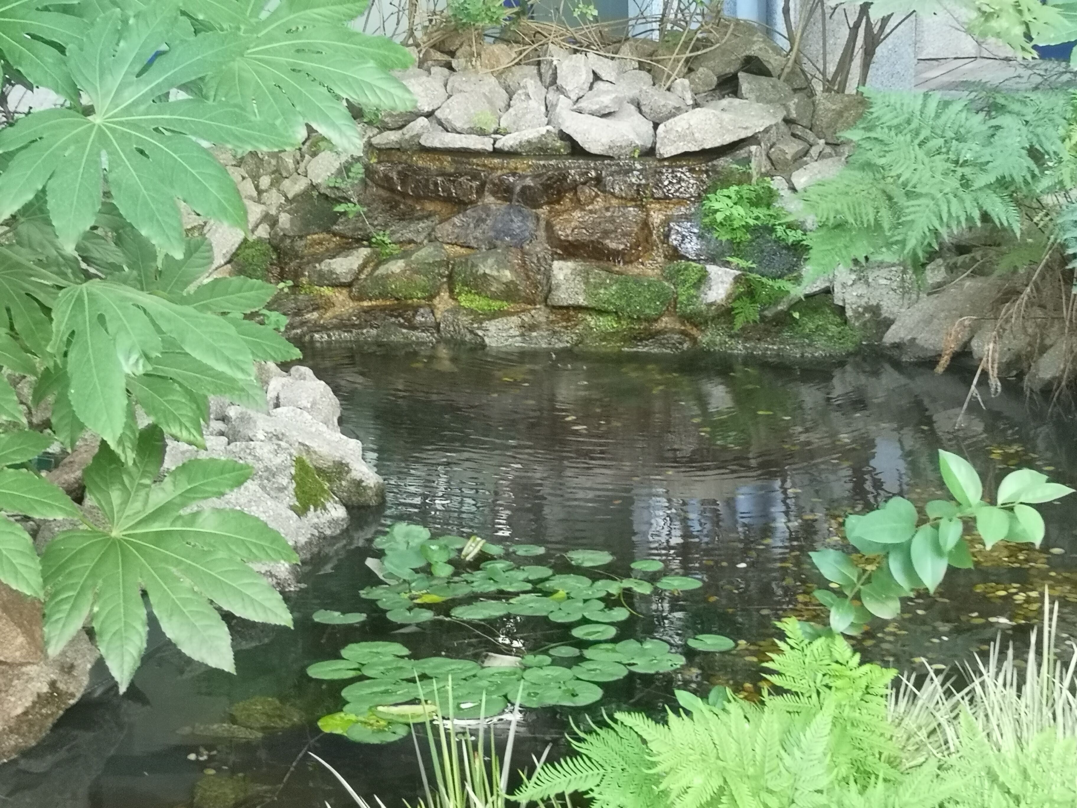 Jardines del alojamiento