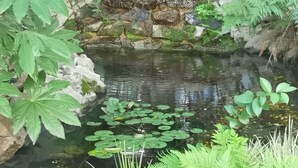 Un petit étang entouré de rochers et de verdure.