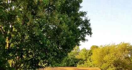 Discover Lil' Casa Marquette!