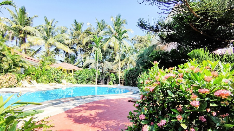 Coconut Grove Beach Resort