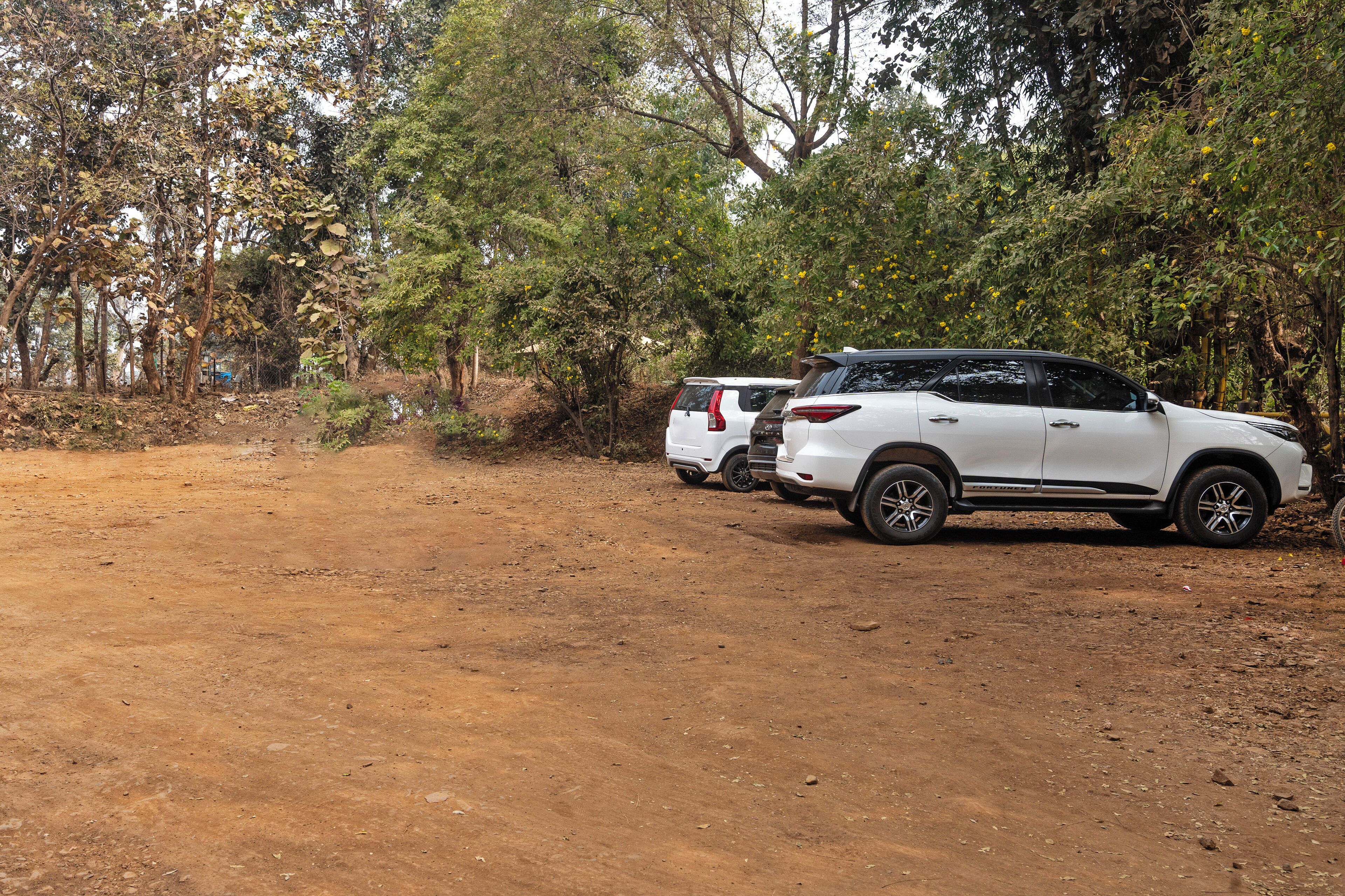 Two white SUVs parked on a dirt path surrounded by trees.